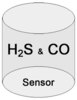 Option carbon monoxide and hydrogen sulphide measurement