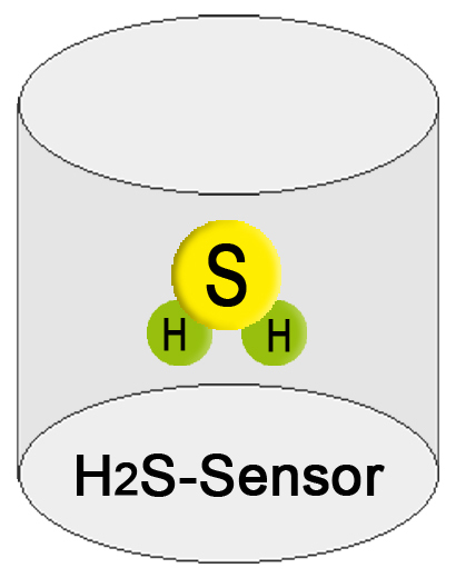 GOLIATH option hydrogen sulphide measurement